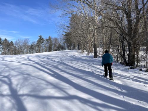 field in January at Hammond Nature Preserve in southern New Hampshire