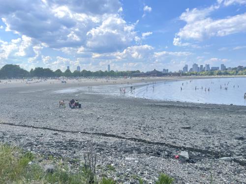 low tide in June beside Boston Harborwalk in Massachusetts