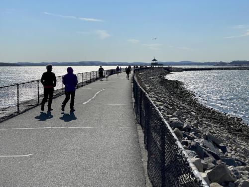 Cathy and Andee in February on the Boston Harborwalk in Massachusetts