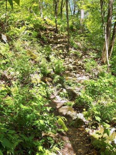 stone steps at Harmon Hill in southern Vermont