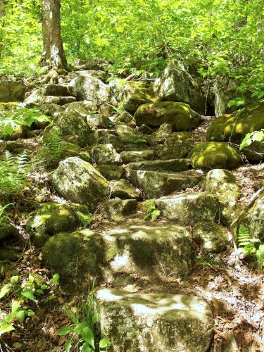 stone steps at Harmon Hill in southern Vermont