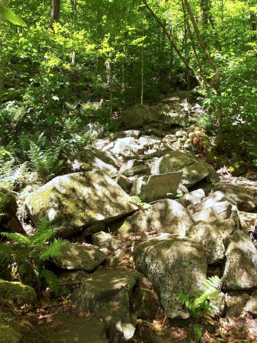 stone steps at Harmon Hill in southern Vermont