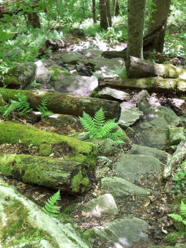 stone steps at Harmon Hill in southern Vermont