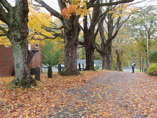 access road to Harvard Research Forest in north central Massachusetts