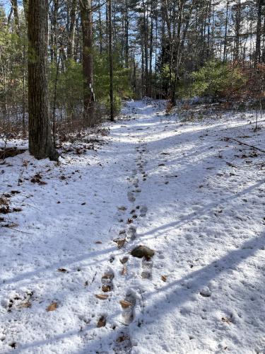 trail in December at Haseltine Community Preserve in southern NH