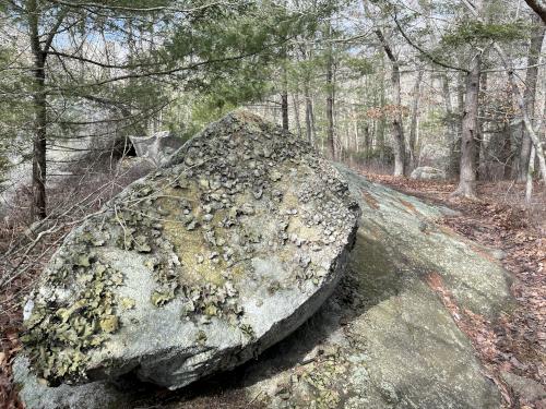 tripe in March at Haskell Pond Loop in northeast MA