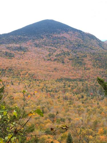 woodsy trail to Haystack Mountain in northern Vermont