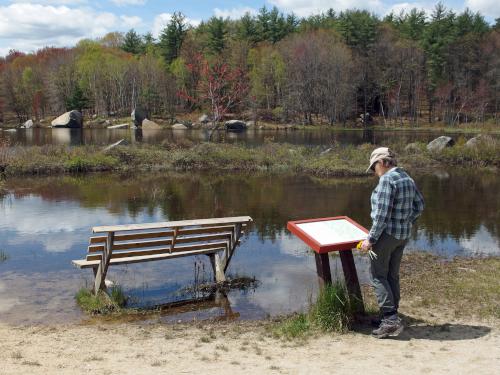 southern pond in May beside Heads Pond Trail near Hooksett in southern New Hampshire