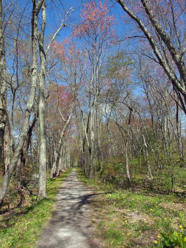 trail in May at Heads Pond near Hooksett in southern New Hampshire