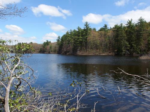 view of Heald Pond at Heald Orchard in Pepperell MA