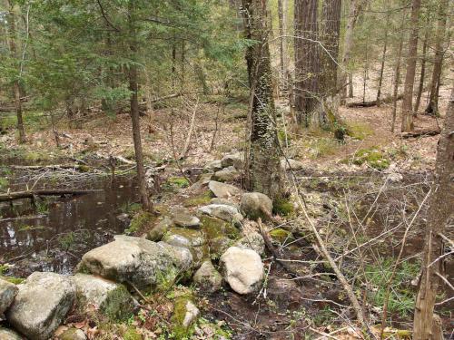 stone-wall trail section at Heald Orchard in Pepperell MA