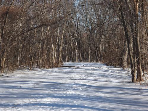 trail in January at Healy Park near Concord in southern New Hampshire