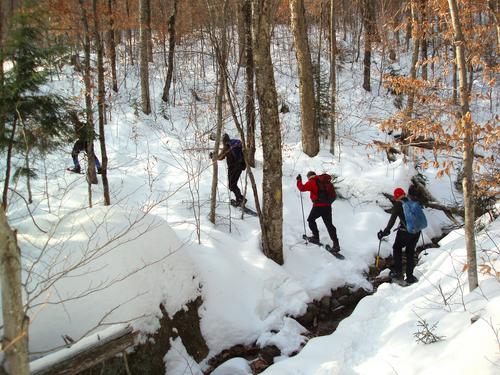 hikers on the trail to Hedgehog Mountain in New Hampshire