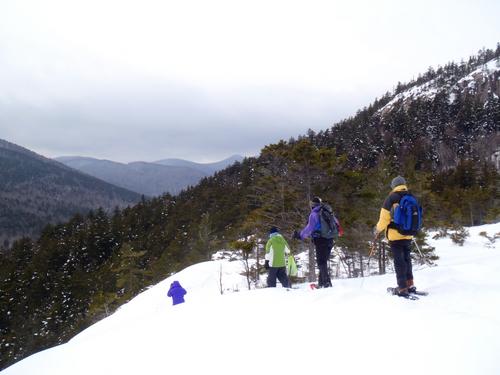 winter hikers on the trail to Hedgehog Mountain in New Hampshire