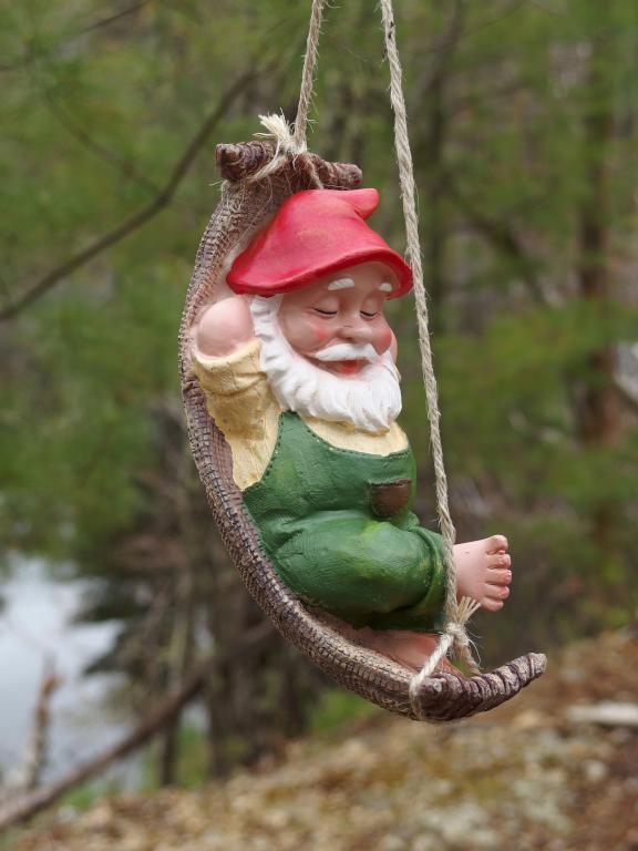 elf in May at Heron Pond Loop in  southern New Hampshire