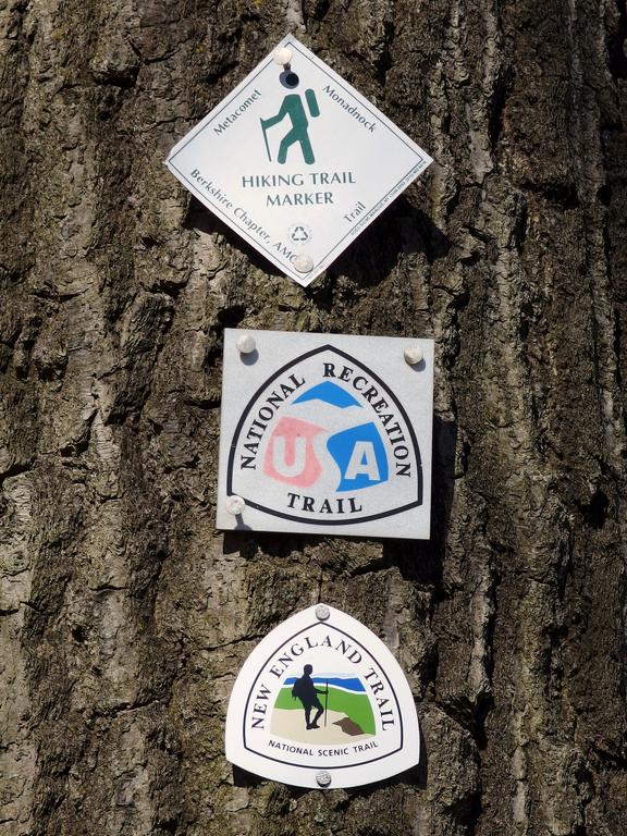 blaze signs on the Metacomet-Monadnock Trail to Mount Hitchcock in central Massachusetts