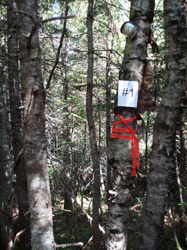 1st canister on Hitchcock South Mountain in New Hampshire