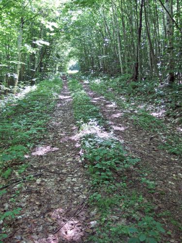 Hicks Mtn Rd to Hix Mountain in New Hampshire