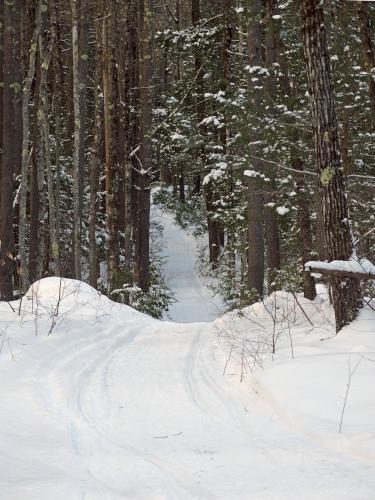 trail in February at Hobart-Fessenden Woods in Brookline, New Hampshire