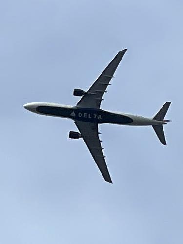 plane in December at Holbrook Town Forest near Holbrook in eastern Massachusetts