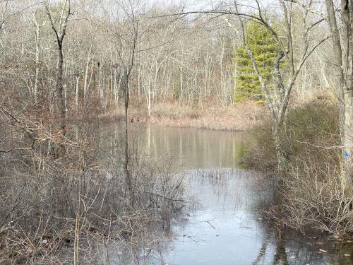 pond 3 in December at Holbrook Town Forest near Holbrook in eastern Massachusetts