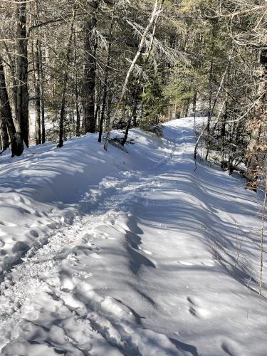 trail in March at Hopkinton 375 Greenway near Hopkinton in southern New Hampshire