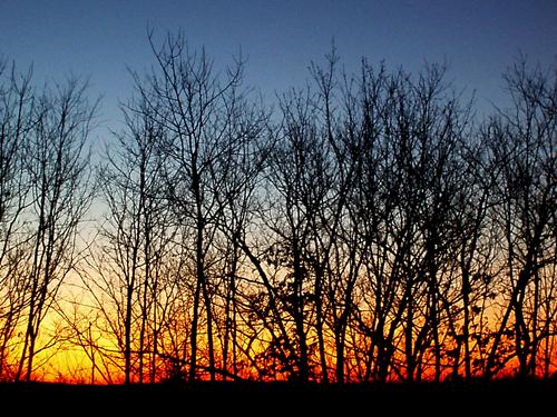 sunrise in Horse Hill Nature Preserve in New Hampshire