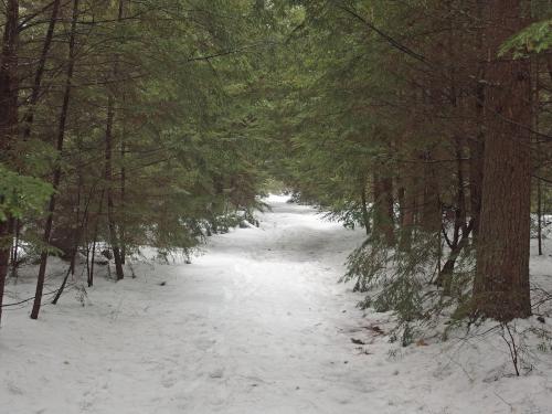 trail in February at Howard Park in northeast Massachusetts