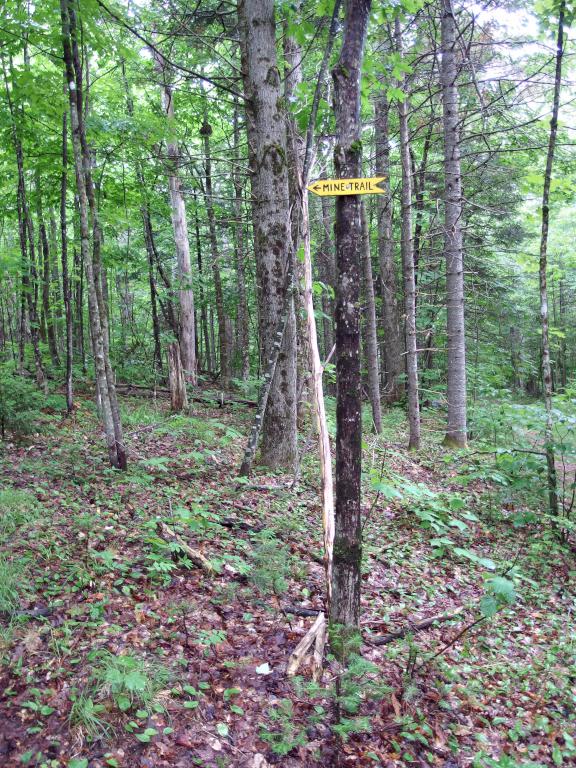 Mine Trail to Hoyt Hill near Bristol in western New Hampshire