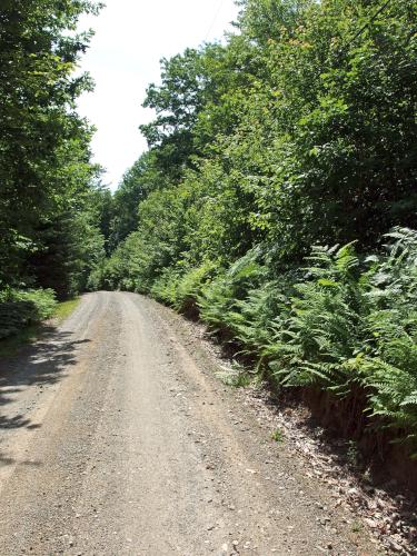 hike start at Huntley Mountain in western New Hampshire