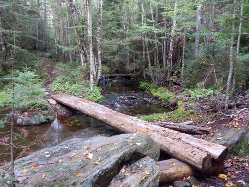 Hurricane Trail on the way to Hurricane Mountain in New Hampshire