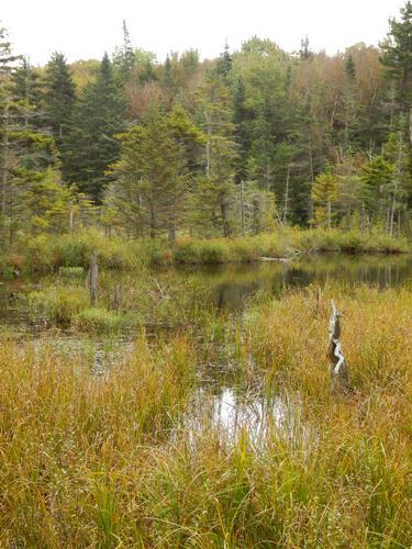 Merrill Brook Pond on the way to Hurricane Mountain in New Hampshire