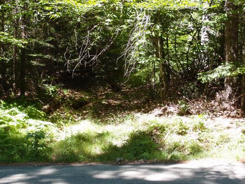 hidden trail start to Hurricane Mountain in New Hampshire