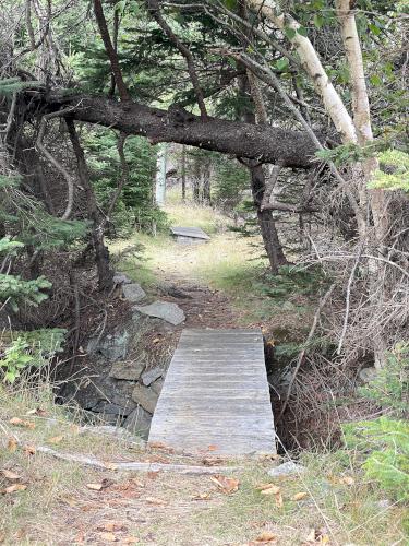 trail in September at Hurricane Island in Maine