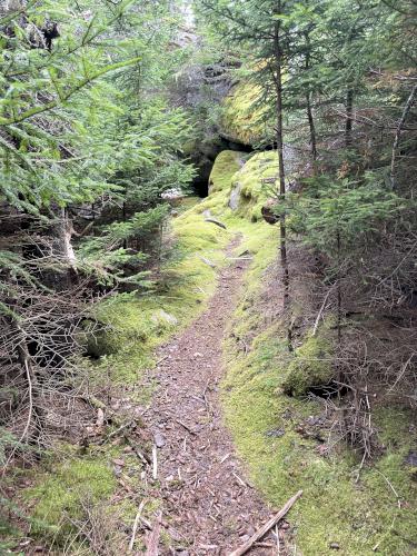 trail in September at Hurricane Island in Maine