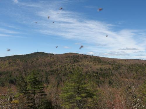 xxx on Hussey Mountain in New Hampshire