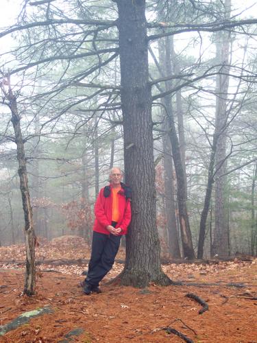 hiker on the top of Hutchington Hill in southern New Hampshire