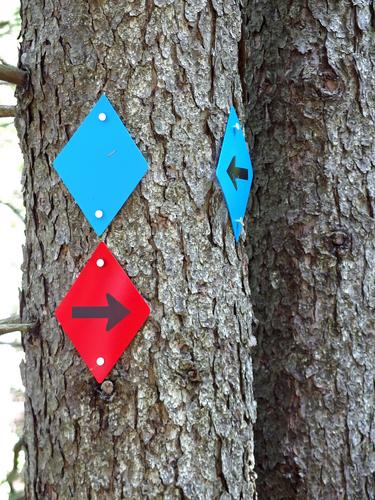 trail junction signs on Hutchins Hill near Newfound Lake in western New Hampshire