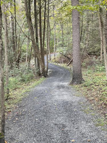 trail in September at Mount Independence in western Vermont