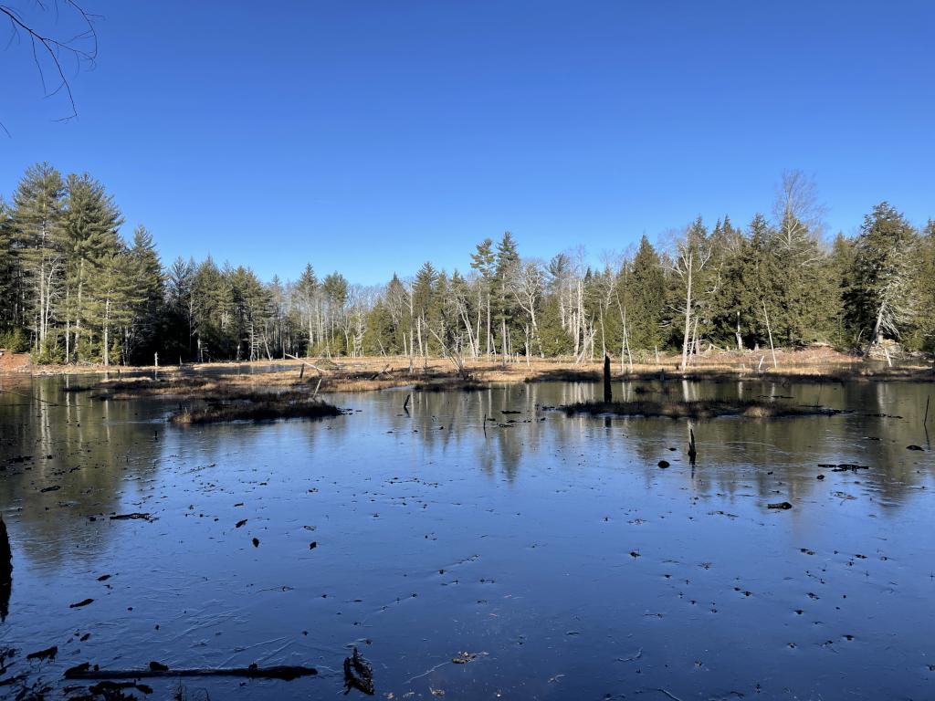 beaver pond in December at Isinglass River Conservation Reserve in southern New Hampshire