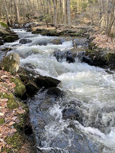 Isinglass River in December at Isinglass River Conservation Reserve in southern New Hampshire