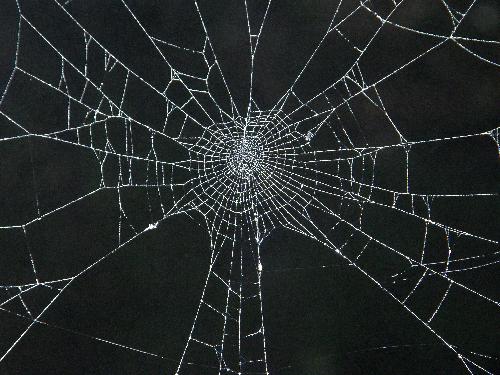 web