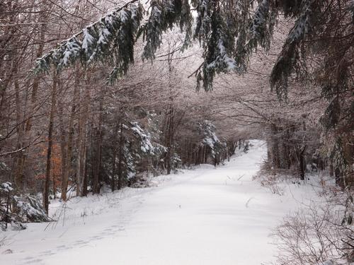 Hubbard Hill Road leading to Jackson Hill in New Hampshire