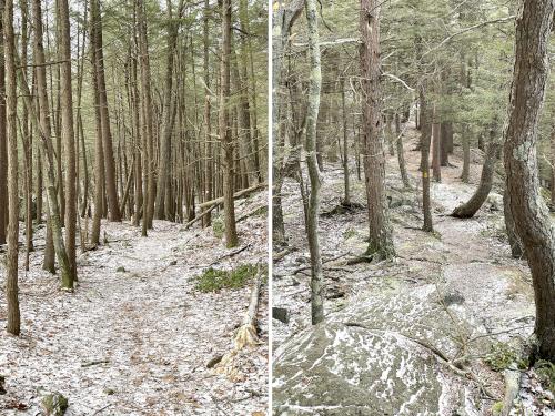 trails in January at Jacobs Hill in north central Massachusetts