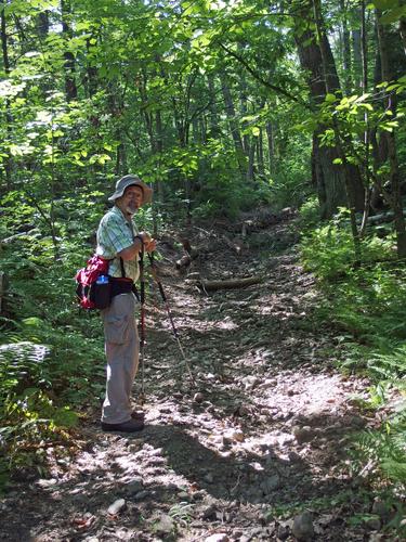 Dick stands on the woods road which we followed most of the way to Jeremy Hill in Pelham, NH