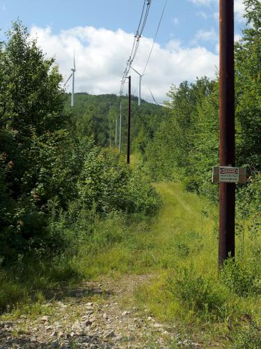 powerline swath at Jericho Mountain in northern New Hampshire