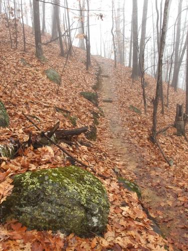 trail to Jerry Hill near Concord in southern New Hampshire