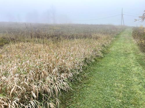 foggy field view in October on the Fox Pasture Trail near Jewell Hill in northeast Massachusetts