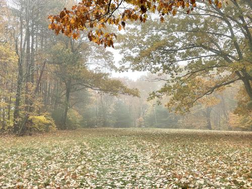 grassy trail in October at Jewell Hill in northeast Massachusetts