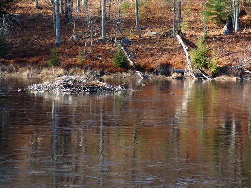 frozen-over beaver pond in November at the start of the hike to Joe English Hill in southern New Hampshire